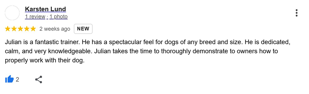 A five-star Google Review for Julian from Big Dog Energy Dog Training in Toronto