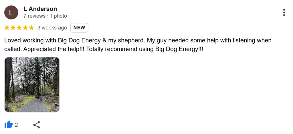 A five-star Google Review for Julian from Big Dog Energy Dog Training in Toronto