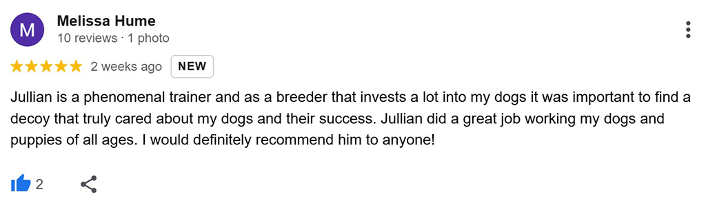 A five-star Google Review for Julian from Big Dog Energy Dog Training in Toronto