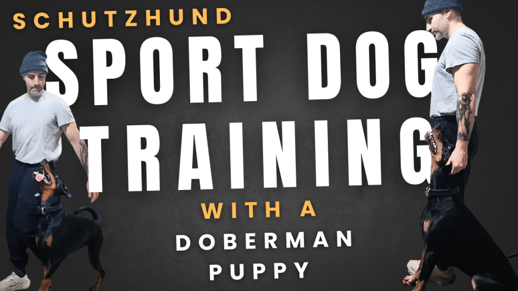 A Training Session with my&nbsp;Pup